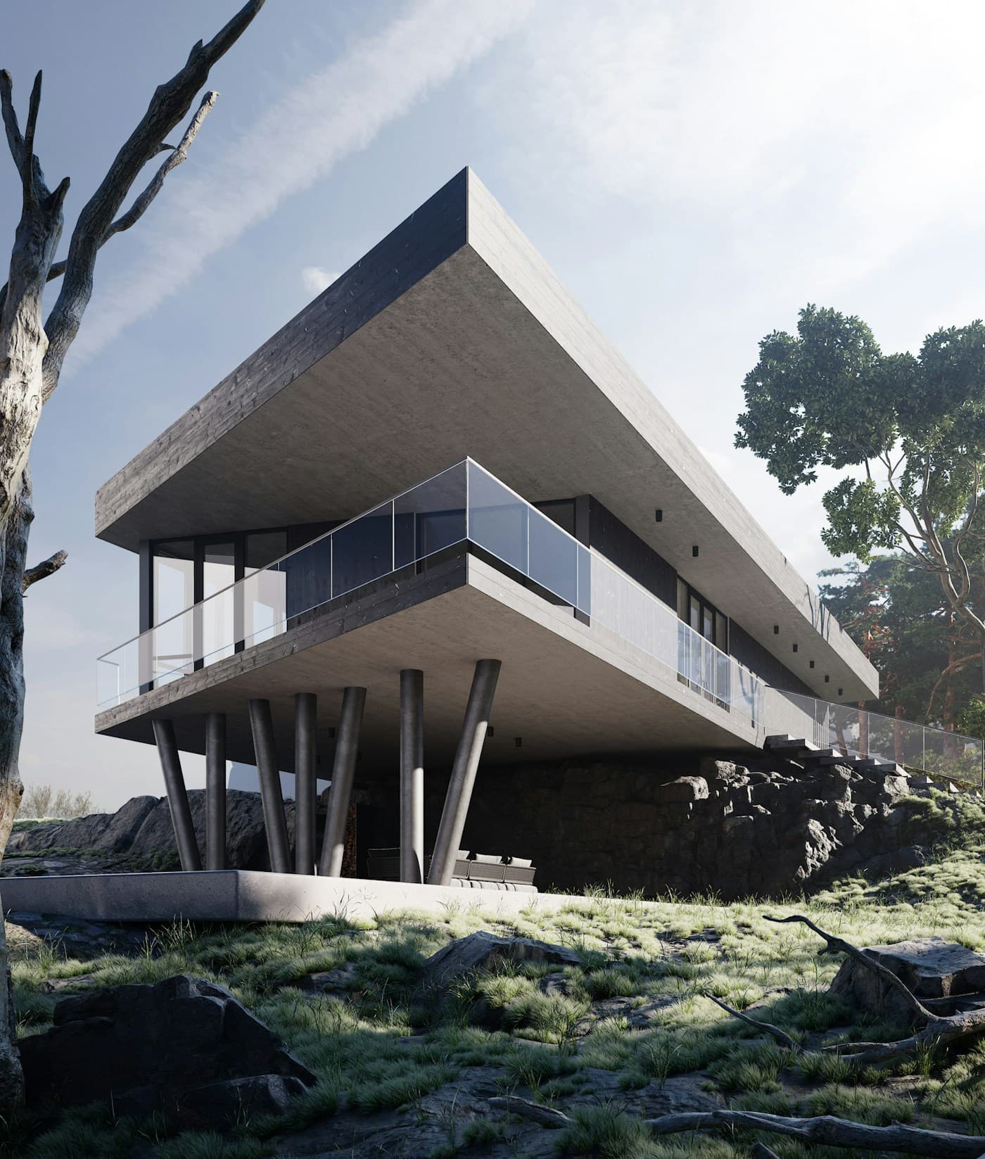 The Elevated House - architectural perspective