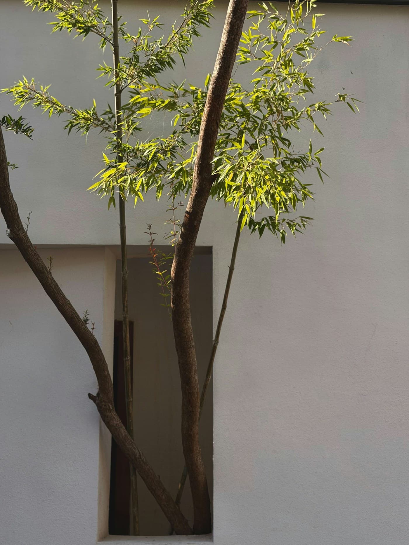 Courtyard No. 08 - detail and atmosphere